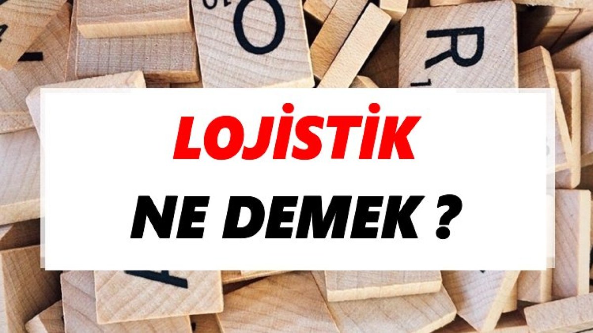 Lojistik Nedir: Türkiye'de Taşımacılığın Temel Taşıyıcısı