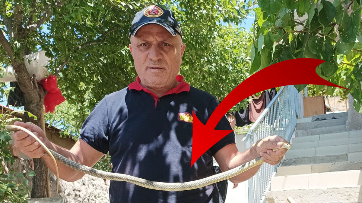 Kastamonu, Amasya, Samsun, Çorum, Yozgat, Sinoplulara musallat olacak! Lop diye sürüne sürüne eve giriyor! O tarihe dikkat