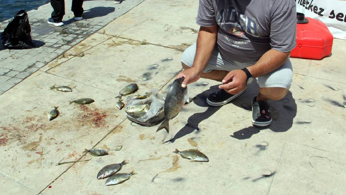 O ilimizde kıyamet alameti gibi olay! Deniz birden buz kesti balıklar karaya vurdu: Elleriyle denizden balık topladılar