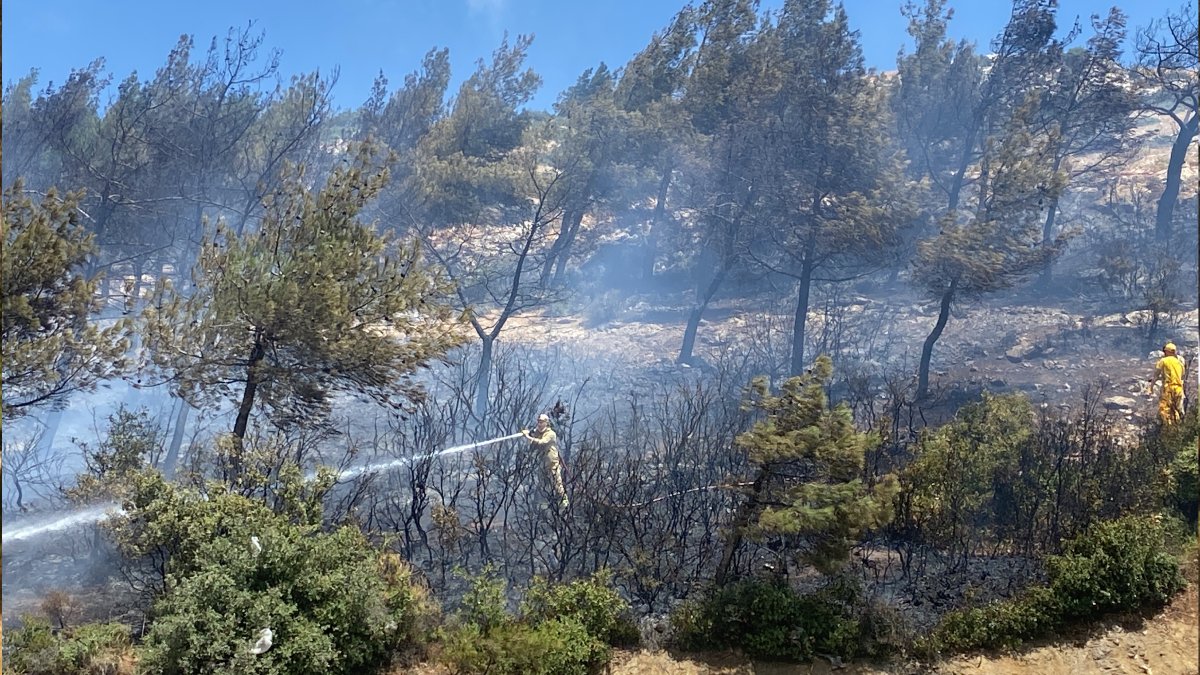 Hatay'daki orman yangını kontrol altında: Soğutma çalışmaları devam ediyor