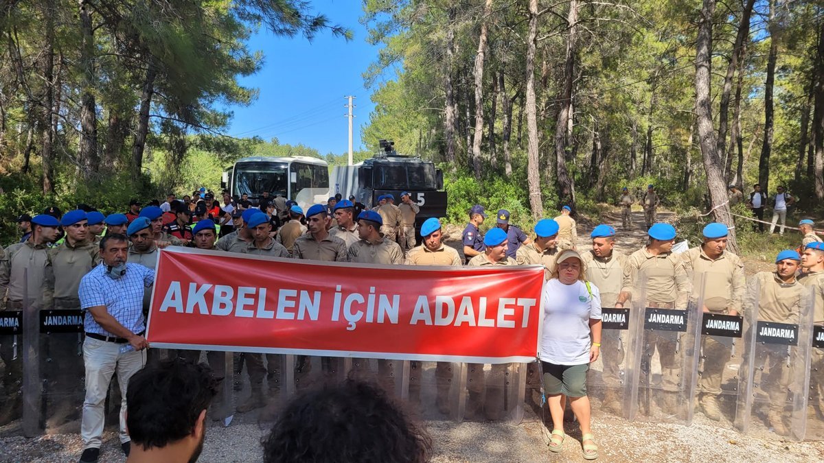 Akbelenli köylüler ağaç kıyımını anlattı: Çamları koruyamadık, sonumuz maalesef hüsran