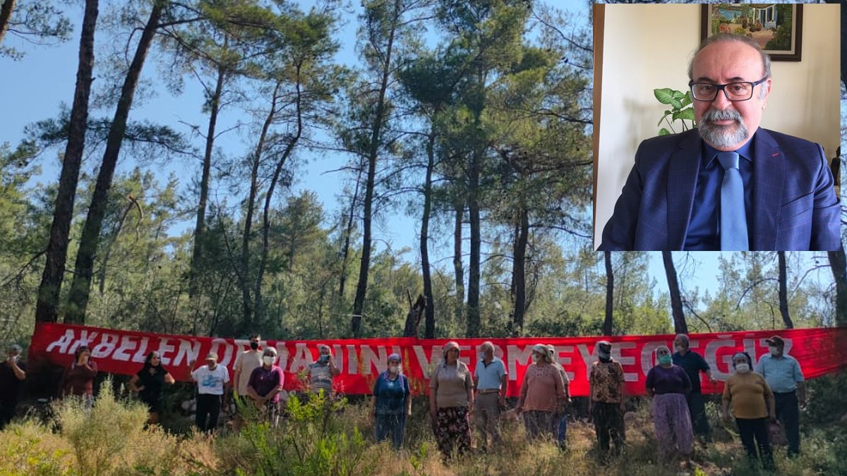 TOD Başkanı açıkladı: Akbelen'de 65 bin ağaca kıyıldı