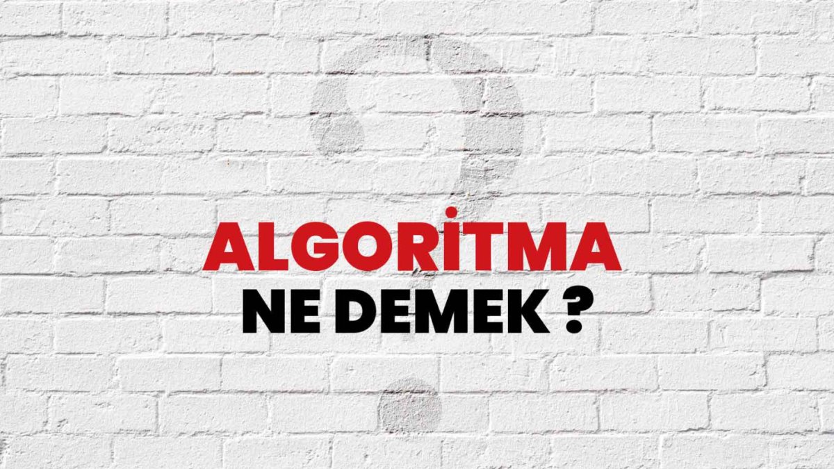 Algoritma Nedir: Bilgisayar Bilimlerinde Temel Kavramların Anahtarı