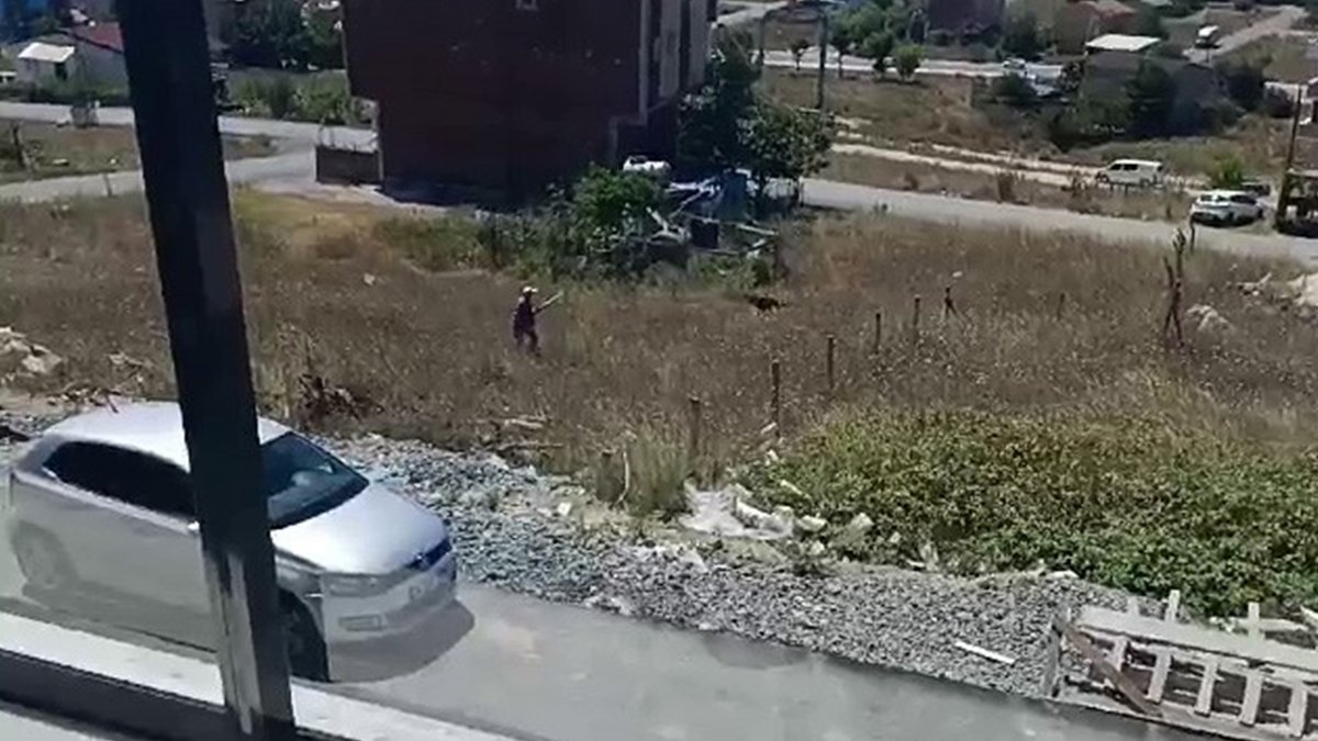 Hayvana şiddet bitmiyor: Eline tüfeği aldı köpeklere ateş açtı!