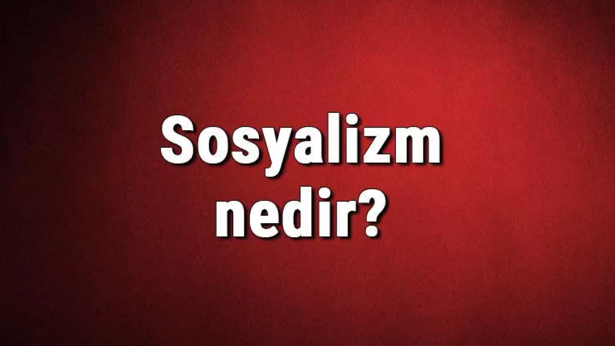 Sosyalizm Nedir: Toplumsal Dönüşüm ve Dayanışma Hareketi