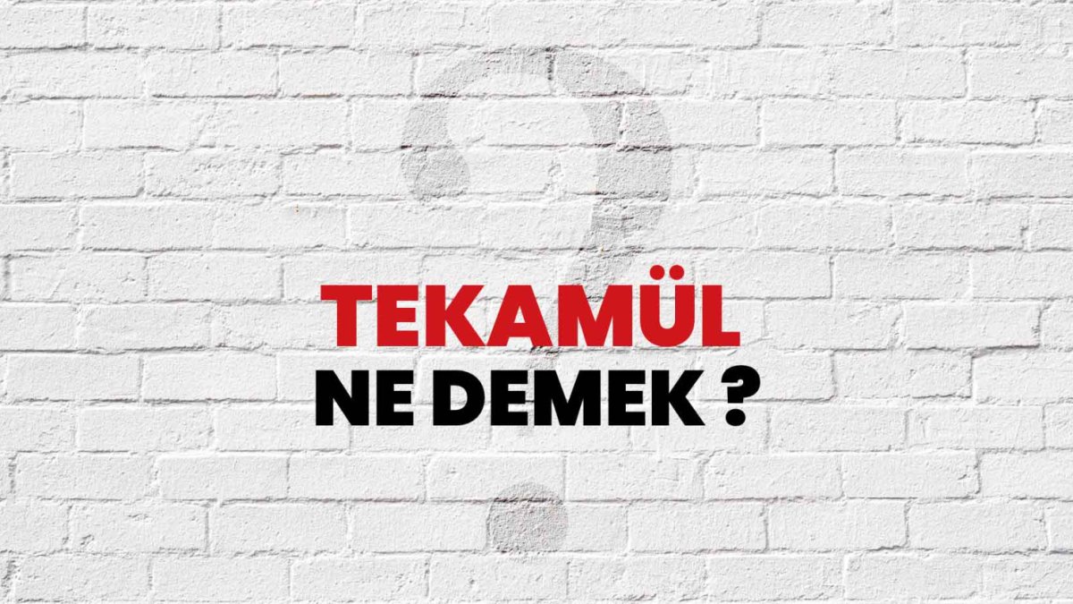 Tekamül Ne Demek Ruhun Evrimi ve Manevi Gelişimin Önemi