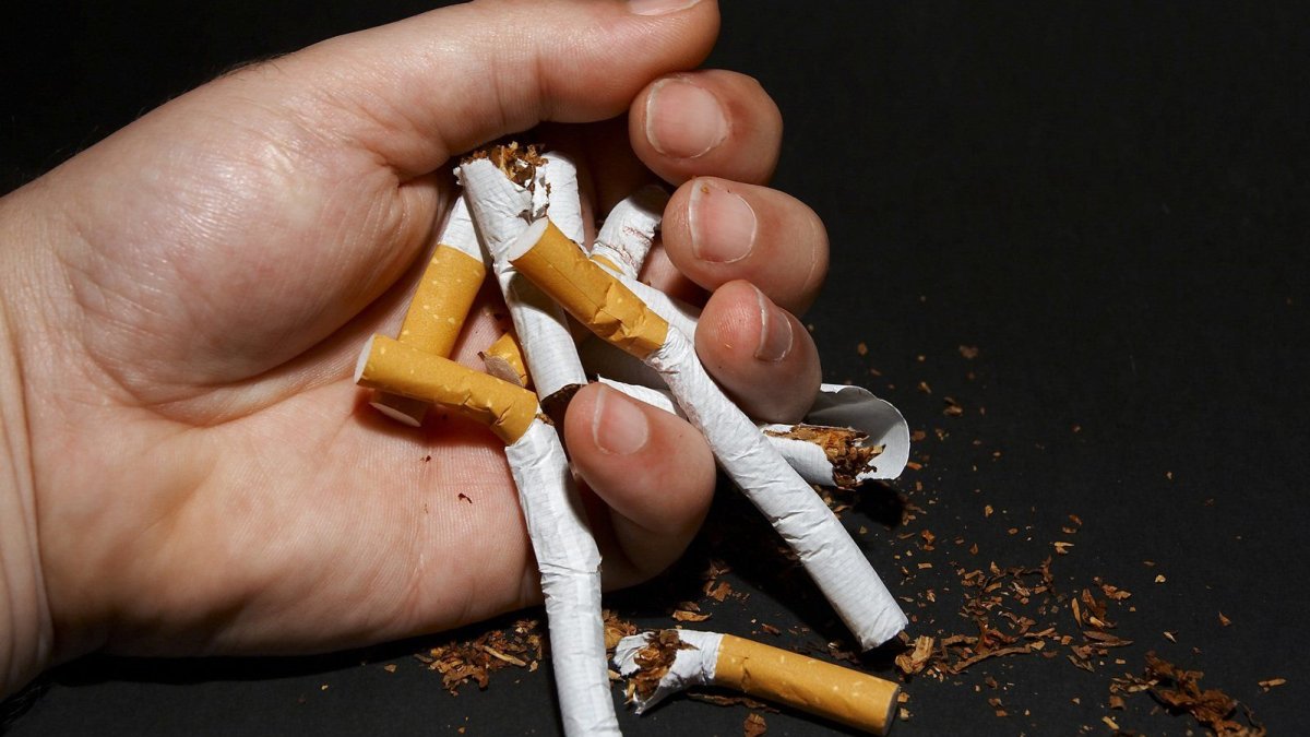 DSÖ: Sigarayla mücadelede en başarılı ülke Türkiye