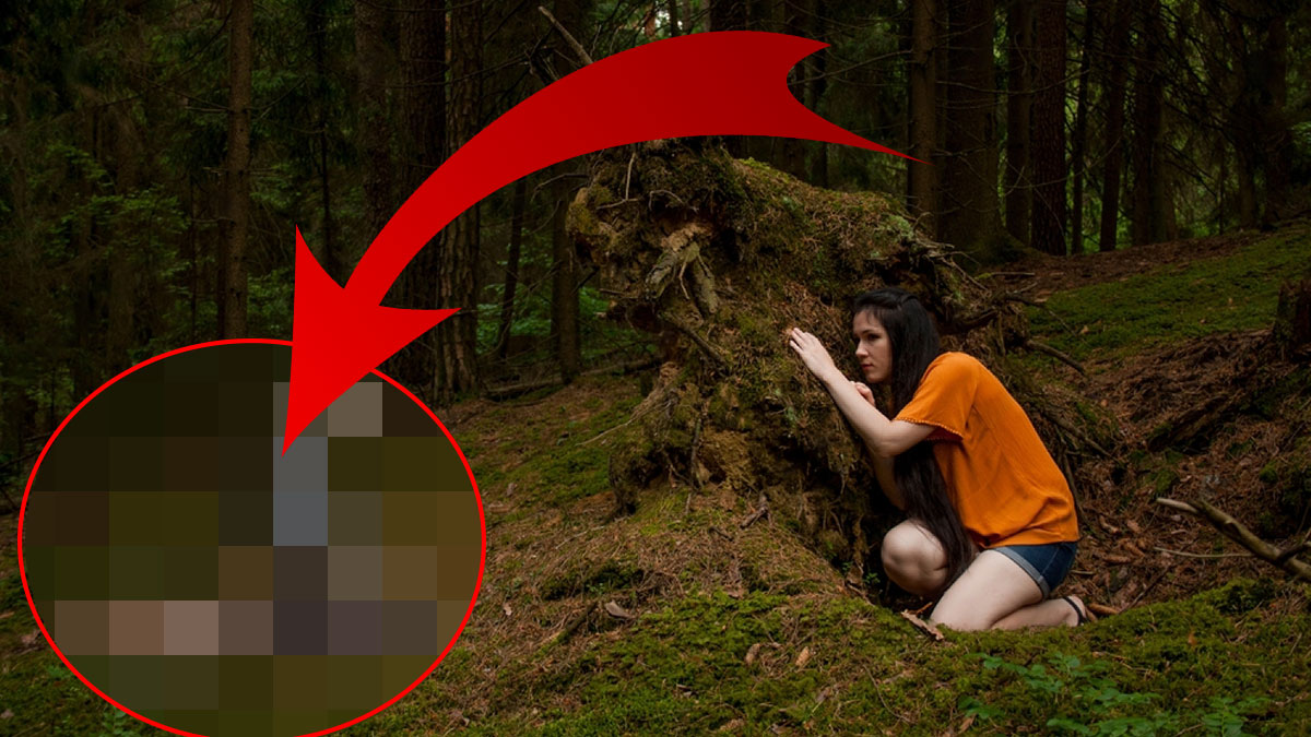 Sürüne sürüne şap diye evde beliriyor! O il diken üstünde, çoluk çocuğu koruyun