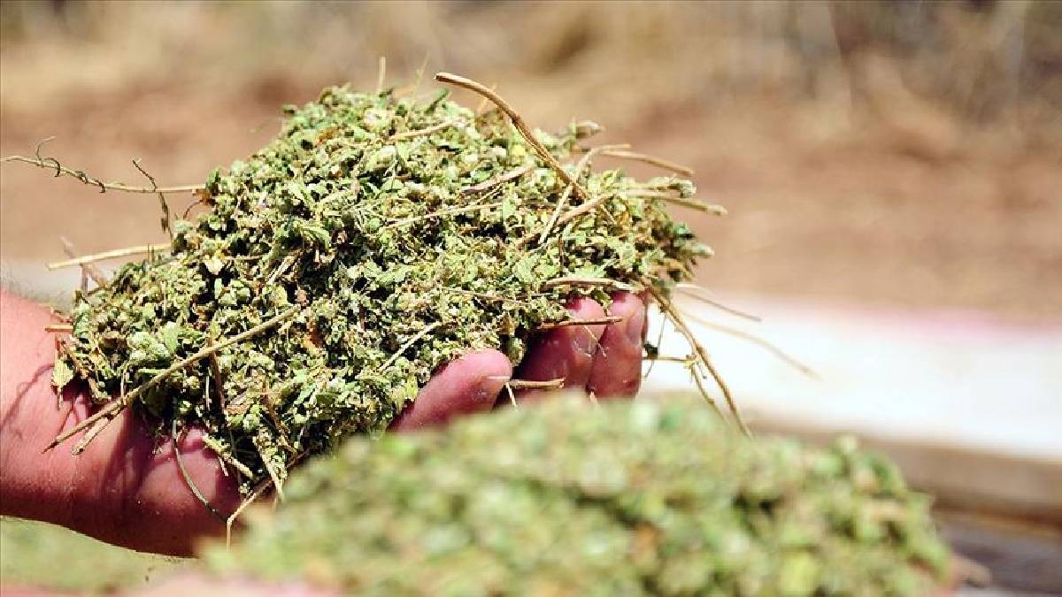 Kullanırken mutlaka iki kere düşünün! Kimse zararını bilmiyor: Meğer o hastalığın davetçisiymiş…