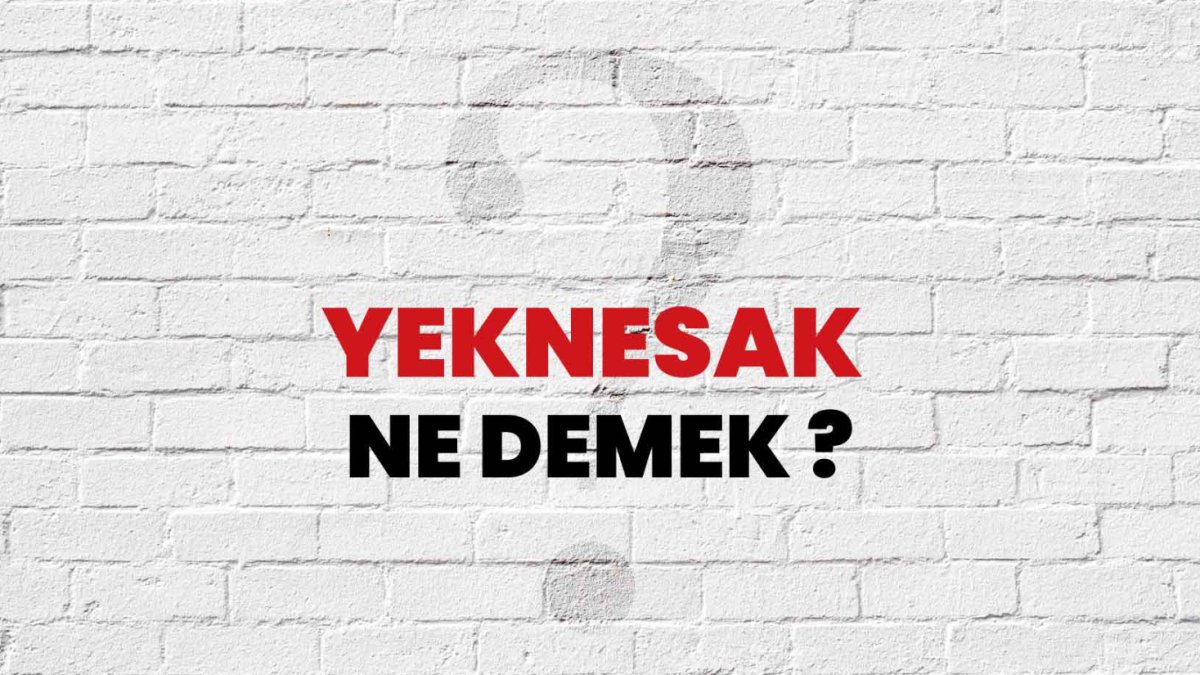 Yeknesak Ne Demek? - Anlamı ve Örneklerle Açıklaması
