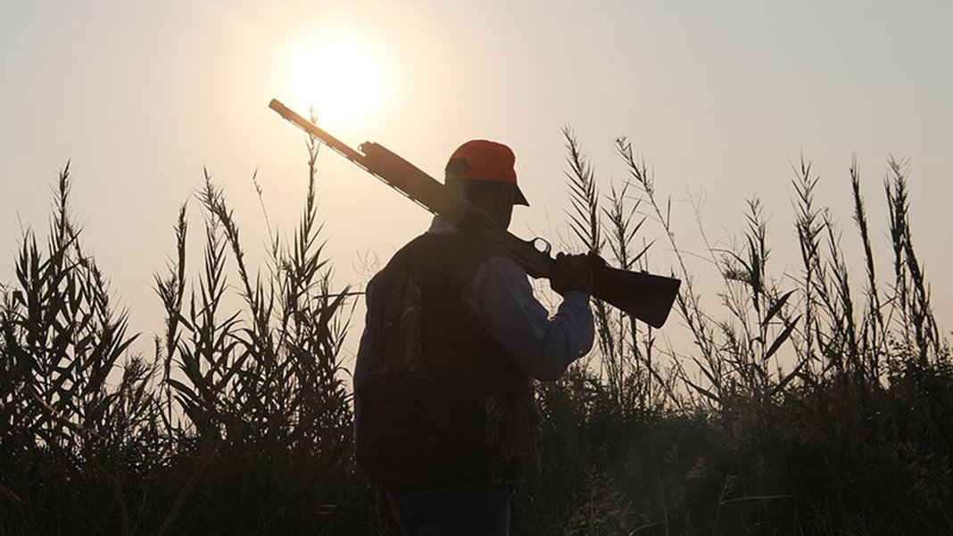 31 kuş ve 4 memeli türü 'avlanacaklar listesine' alındı: İşte il il yasaklar listesi