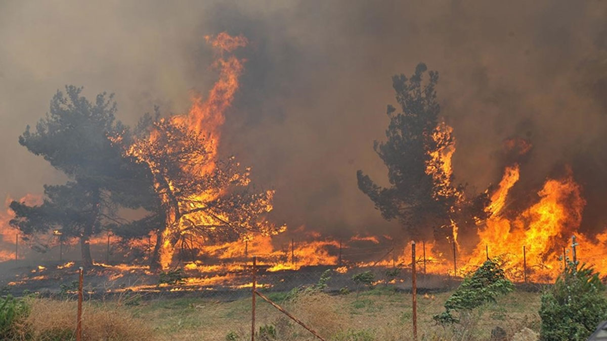 Yunan hükümetinden yangınlardan etkilenen turistlere bir hafta ücretsiz tatil