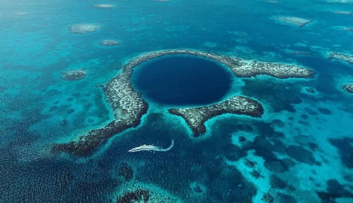 Okyanus değil kara delik! Cesetler, kamera, şişeler… neler neler çıktı
