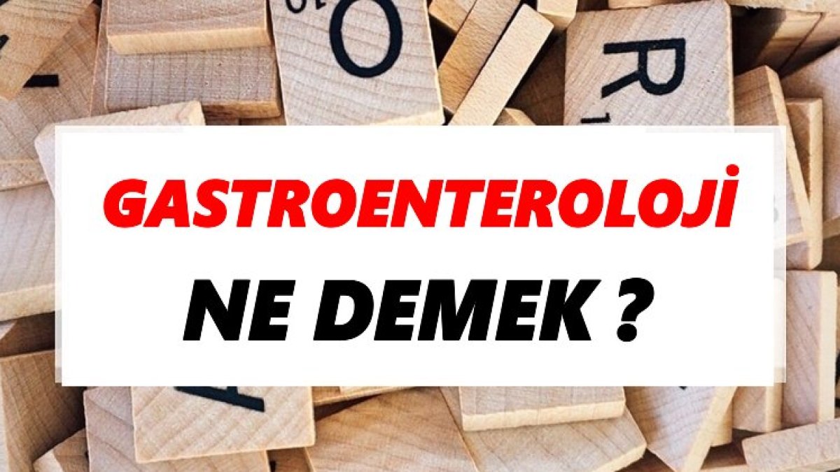 Gastroenteroloji Nedir: Sindirim Sisteminin Uzmanlık Alanı