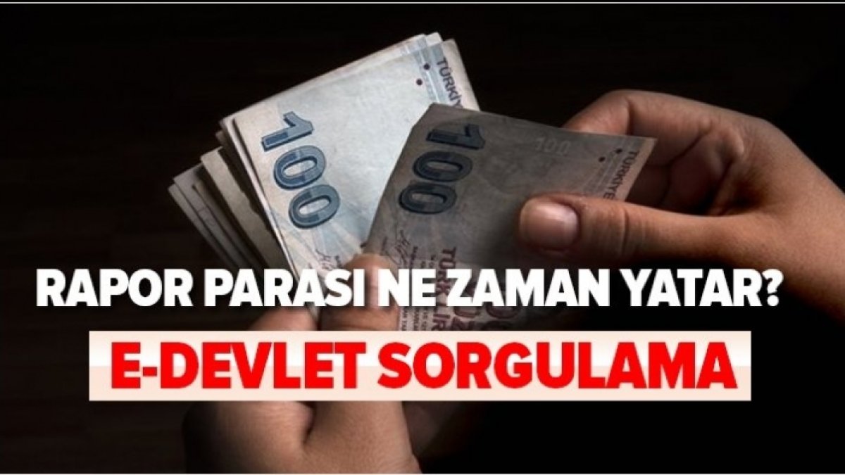 Rapor Parası Sorgulama: Sağlık Hizmetleri için Ödeme Takibi