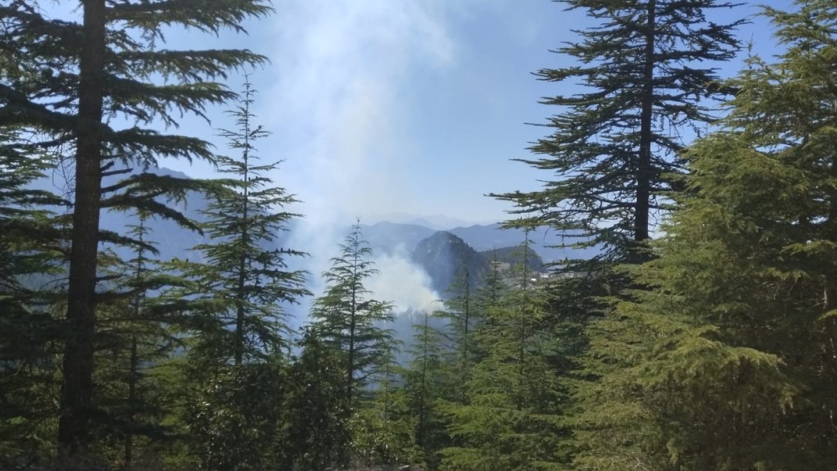 Orman yangınları bitmek bilmiyor: 5 ilde ormanlar ateş altında
