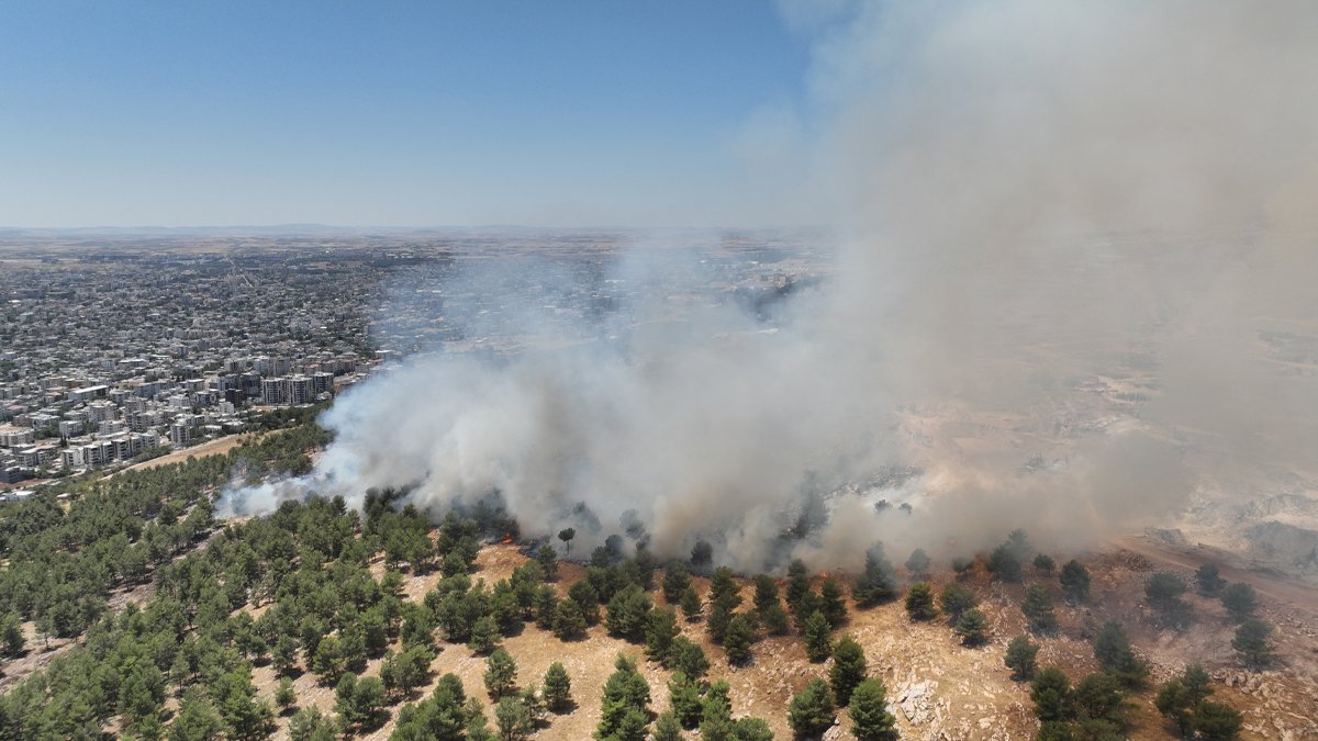 Adıyaman’da orman yangını: Yangın söndürme çalışmaları devam ediyor