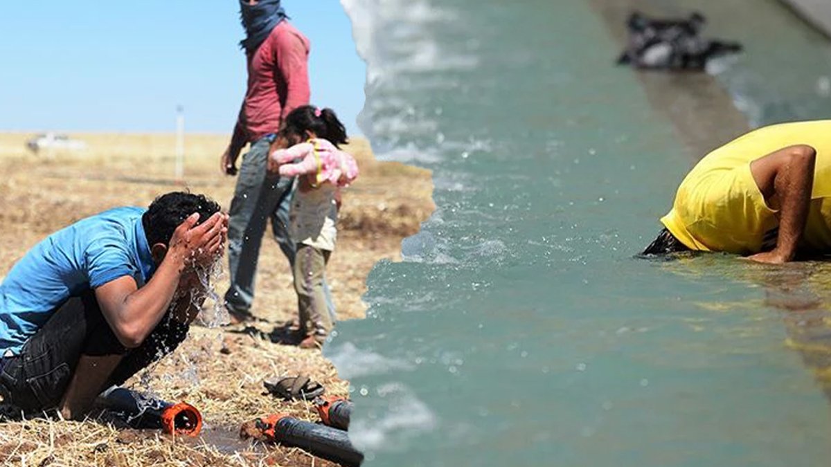 O ilde 'su' alarm verdi, önlemler peş peşe geldi: Önce oto yıkama şimdi de halı yıkamaya yasak