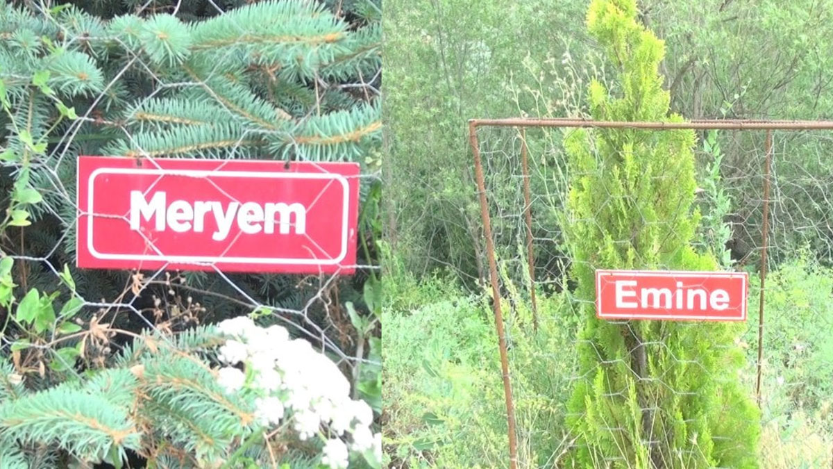 Bu köyü görenler duygulanıyor... Ölen her kadın için bir fidan!