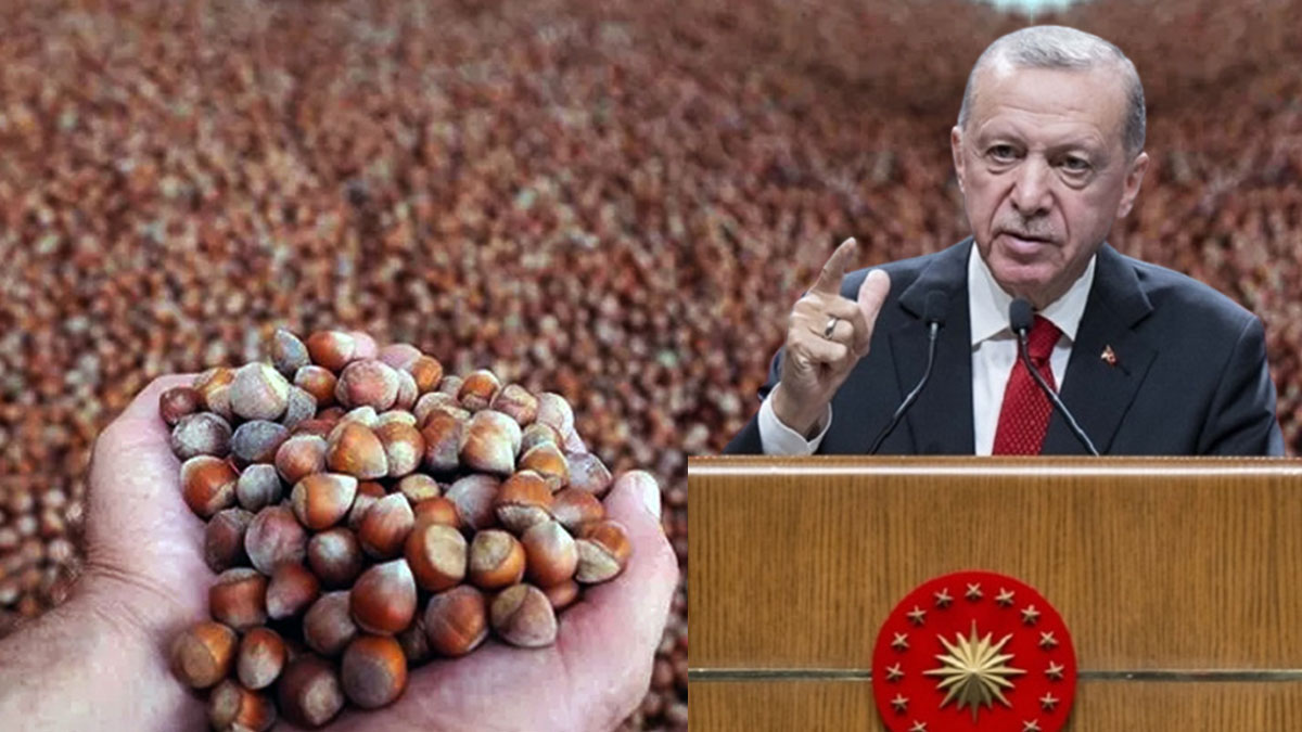 Son dakika... Karadenizliler bu haberle bayram edecek! Erdoğan'dan fındığa rekor fiyat