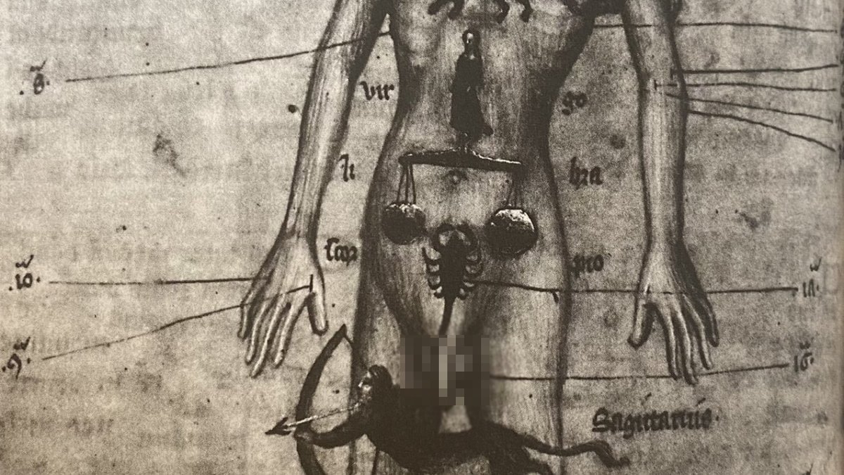 Burcuna göre hangi organsın? Akrep şaşırtmadı… Koç Boğa Oğlak Kova İkizler Balık Yay Aslan Yengeç Terazi Başaklar