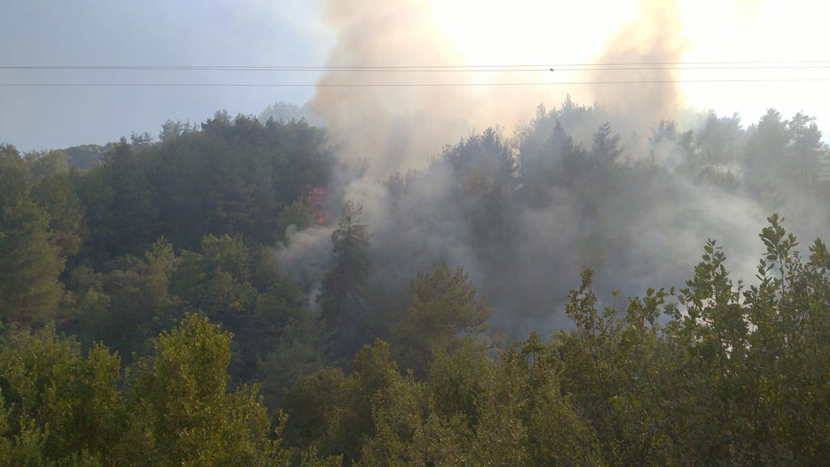 Hatay'da orman yangını: Ekipler müdahale ediyor