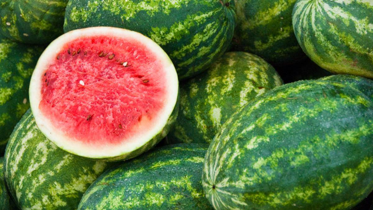 Aslında karpuz değil zehir yiyormuşuz! Bu işaretler varsa ağzınıza sürmeyin: Hastanelik olabilirsiniz