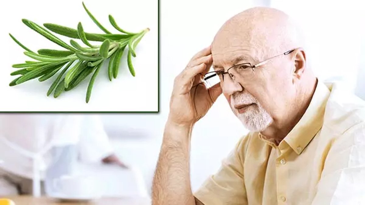Her gün bu bitkiyi koklayanların beyni Einstein'la yarışıyor! Hafızayı yüzde 226 güçlendiriyor