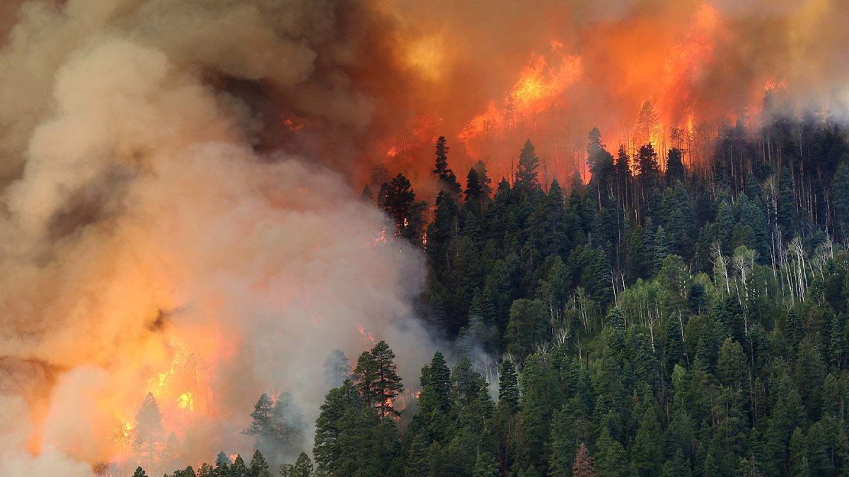 9 günde 148 orman yangını! 175 hektar alan küle dönüştü