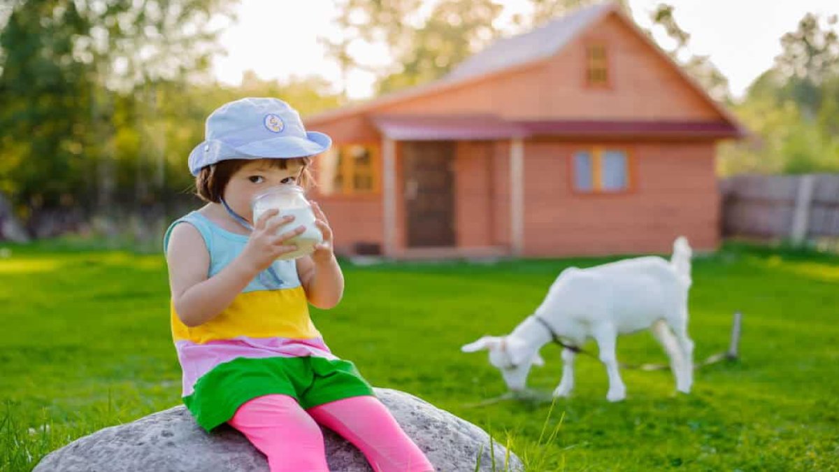 Keçi Sütü Bebeğe Ne Zaman Verilir: Uzman Rehberi