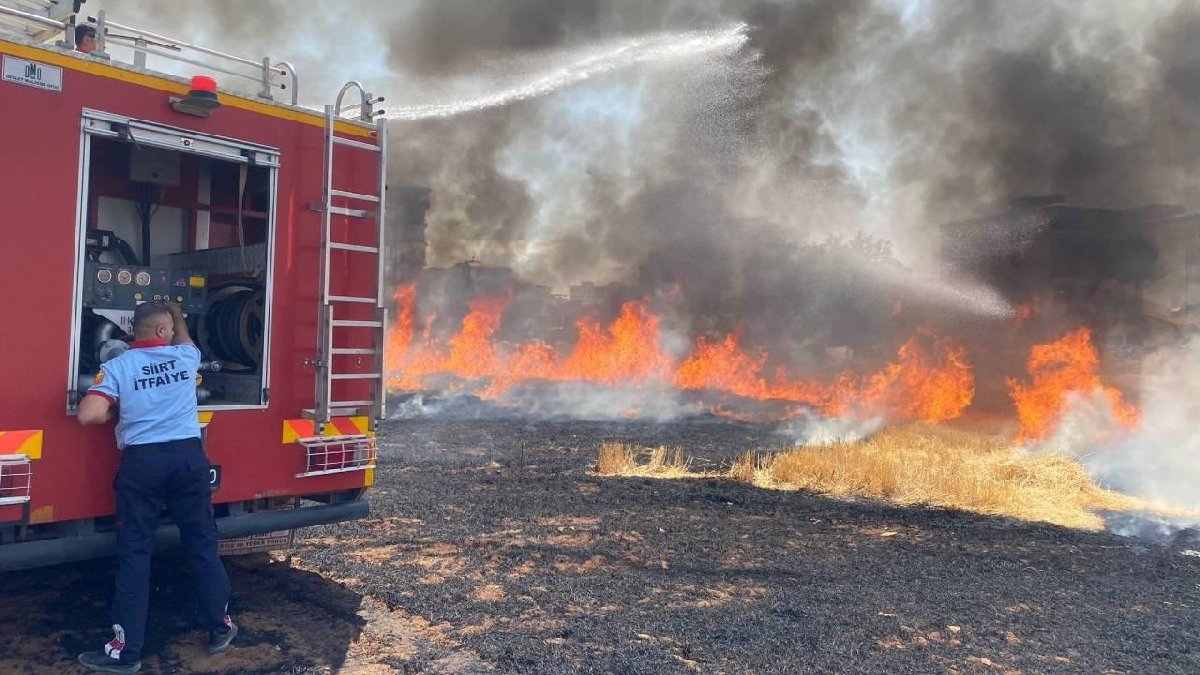 Siirt'teki orman yangını 52 saat sonra kontrol altında