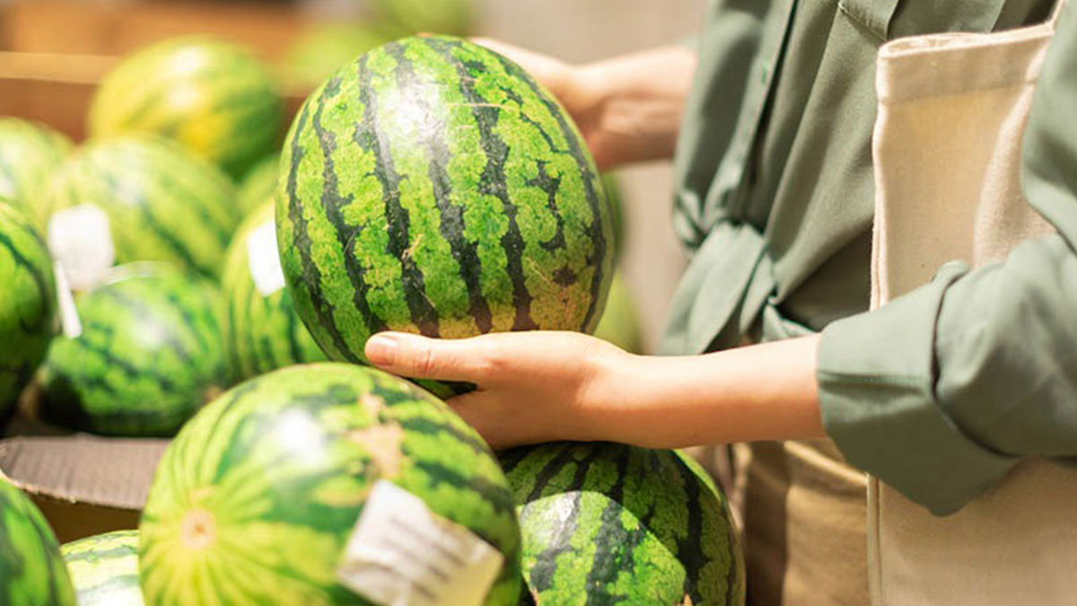 Kelek değil kan kırmızısı sulu karpuz almanın sırrı bu detayda saklı! Şaplak attığınız eğer tok ses geliyorsa...