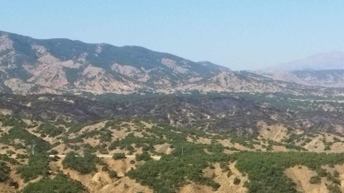 Bingöl'de dünden beri süren orman yangını kontrol altında