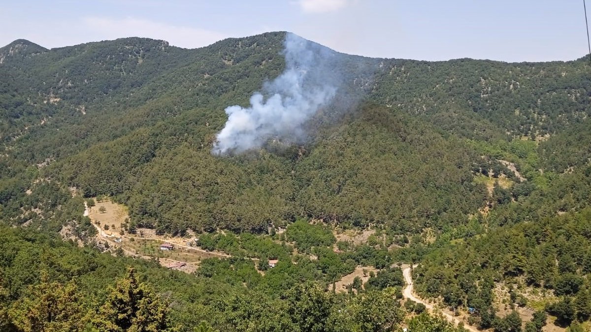 Hatay'da orman yangını
