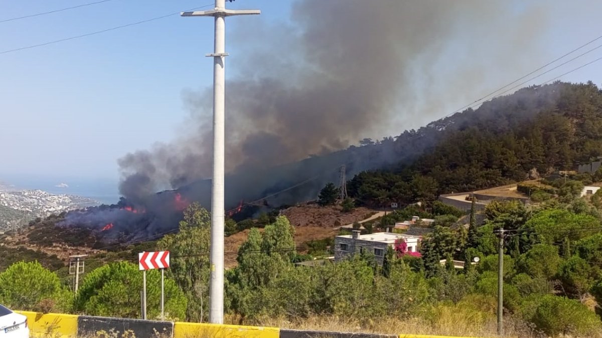 Bu kez yangınların adresi Bodrum oldu: Makilik alanda çıkan yangın kontrol altında