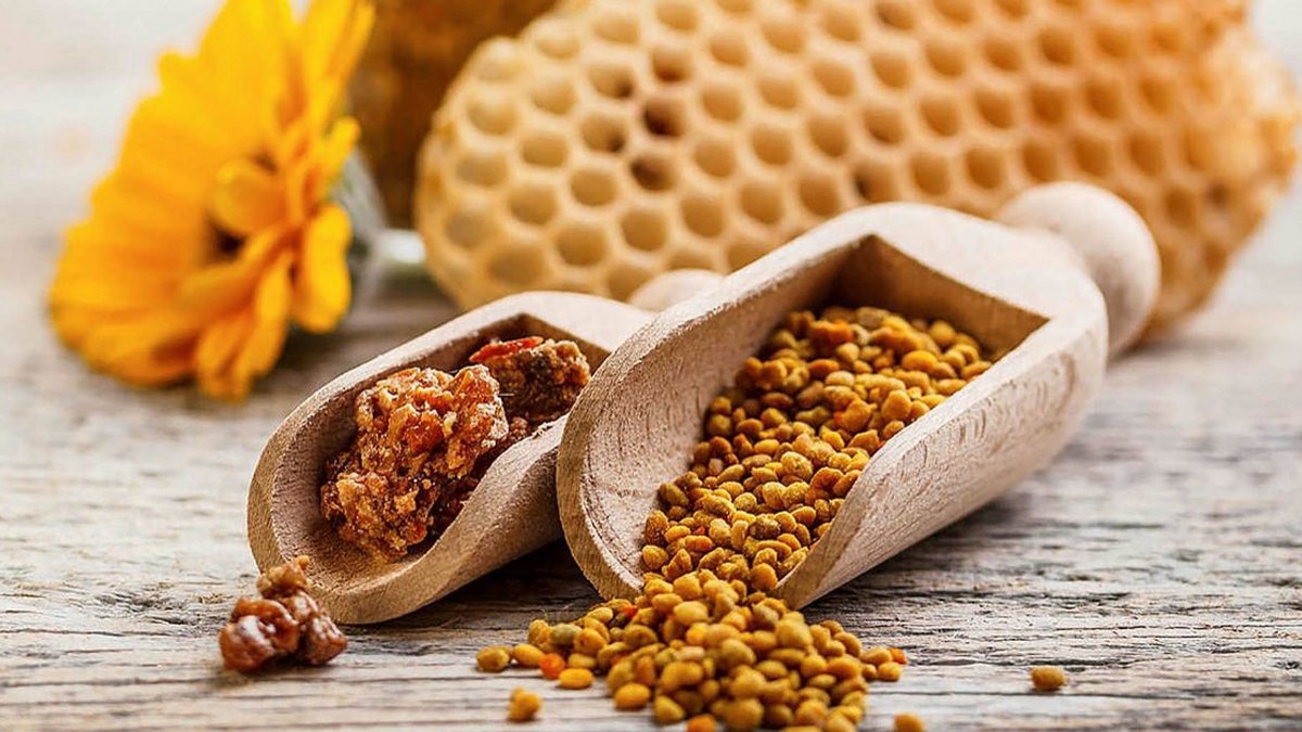 Propolis nedir?