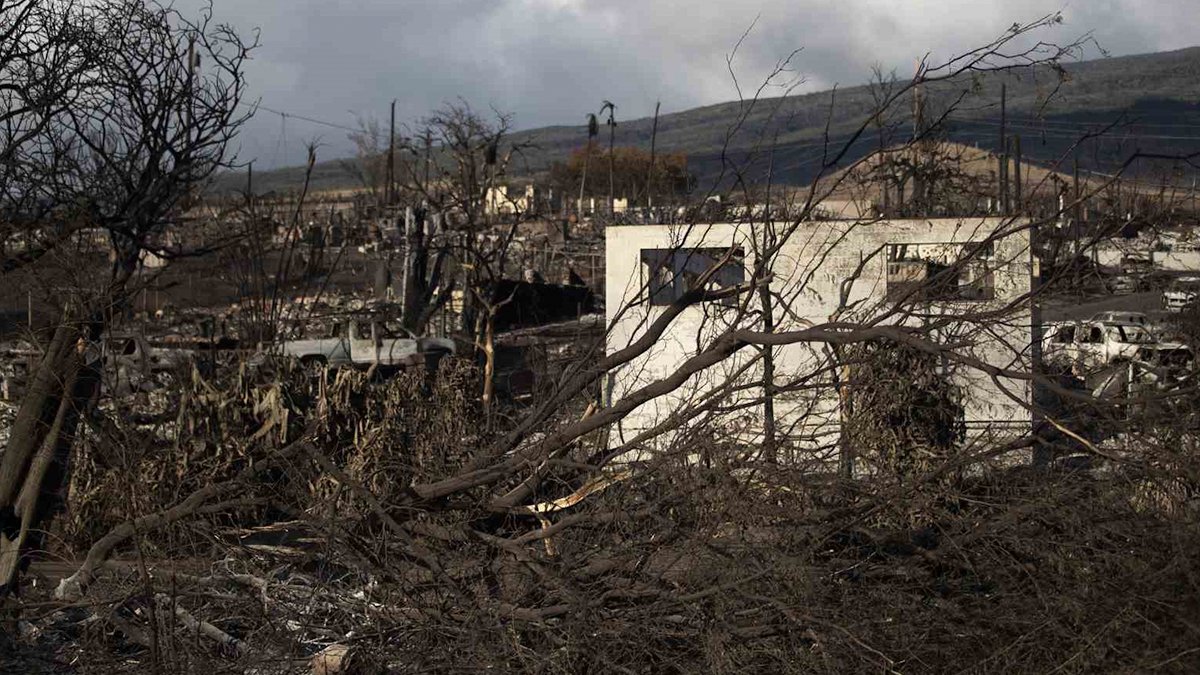 Hawaii’deki yangında can kaybı 96’ya yükseldi