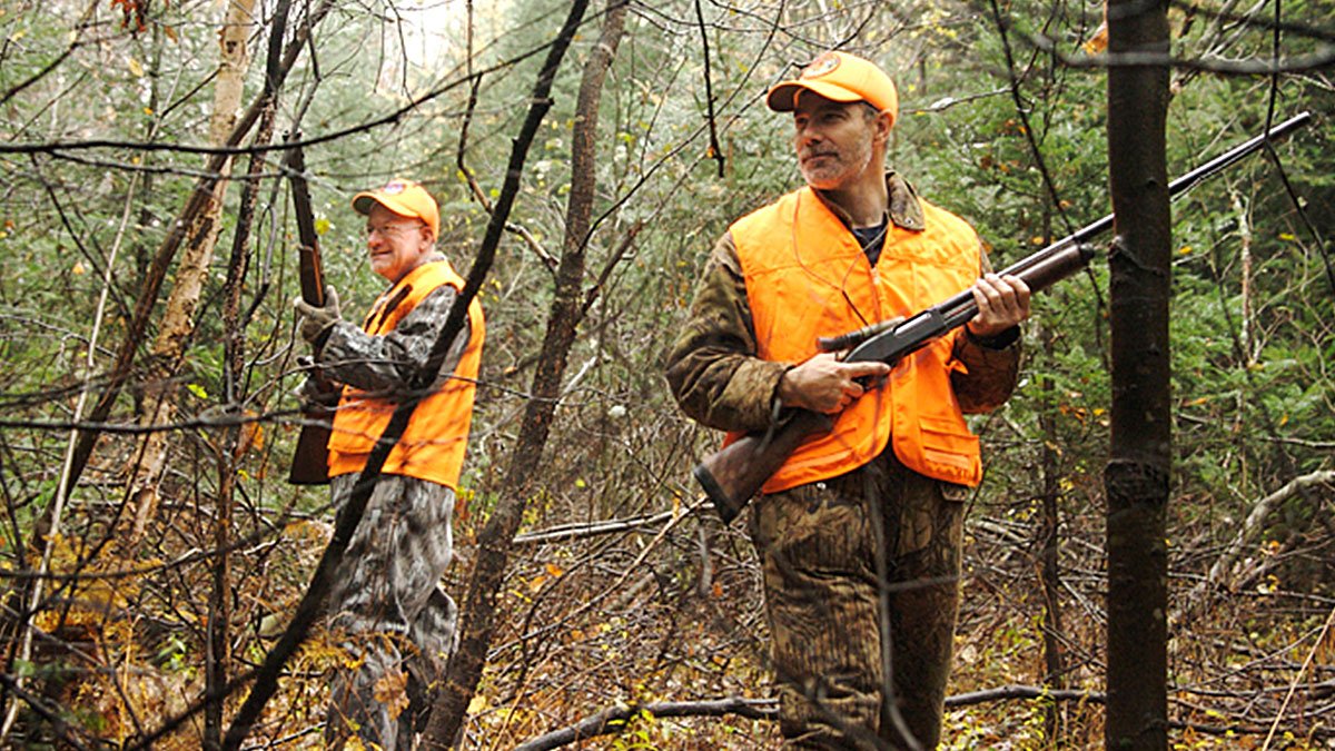Nesli tükenmekte olan hayvanı, kaçtığı için tüfekle vurup öldürdüler! Trajikomik olay...