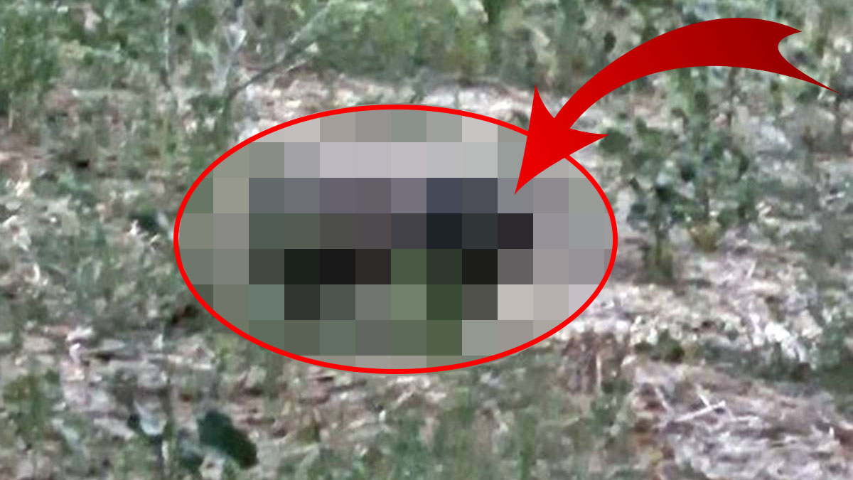 Adı kırmızı listedeydi, dağda ortaya çıktı! Yiyecek ararken görüntülendi