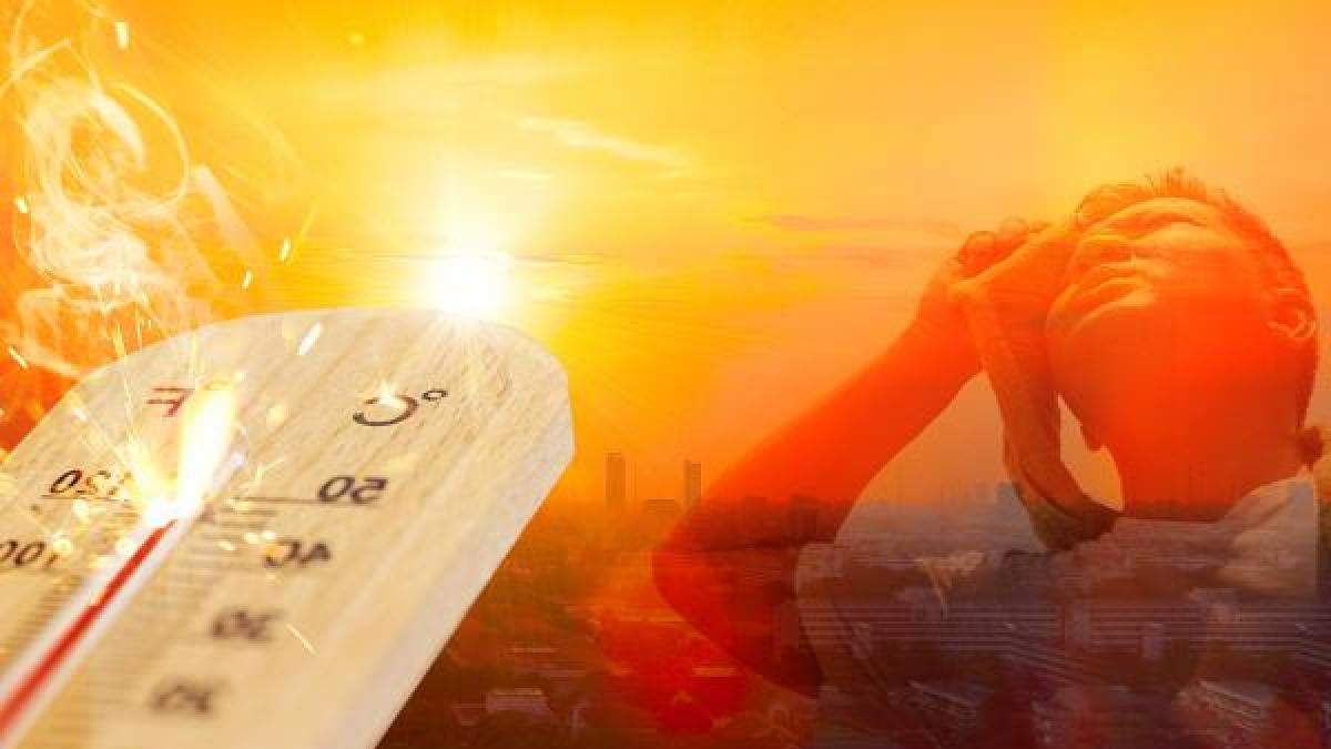 Eyyam-ı Bahur onlara yaradı! Satışlar patladı: Günde 400 koli satıyorlar