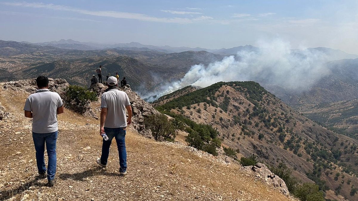 Havadan ve karadan müdahale: Bingöl saatlerdir yanıyor