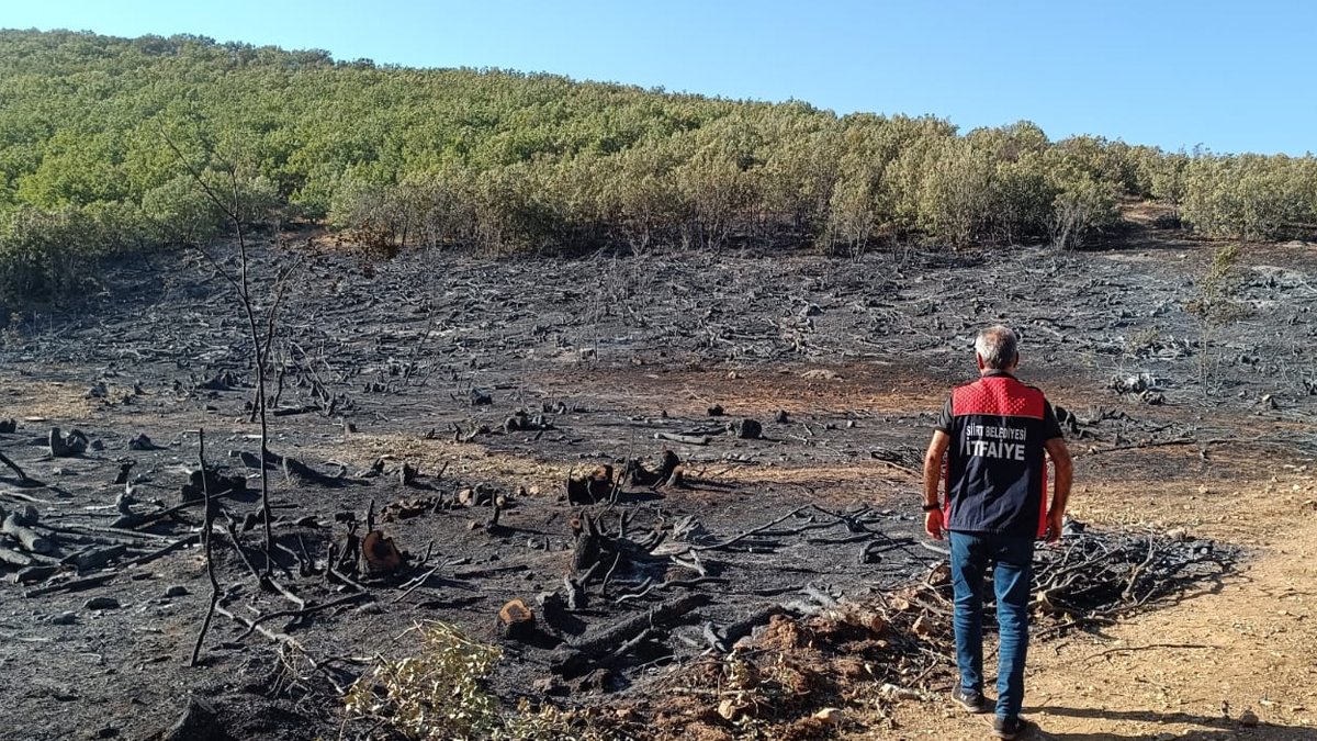 Siirt'teki orman yangını 15 saat sonra söndürüldü