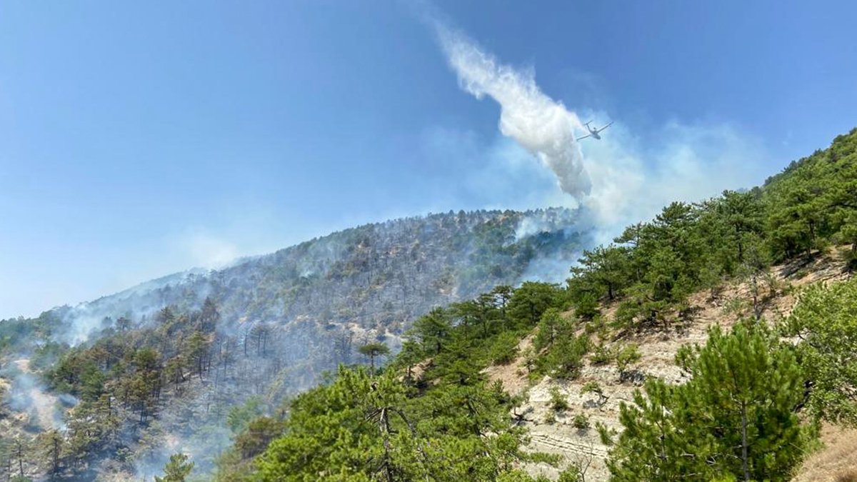 Dört ilde orman yangını