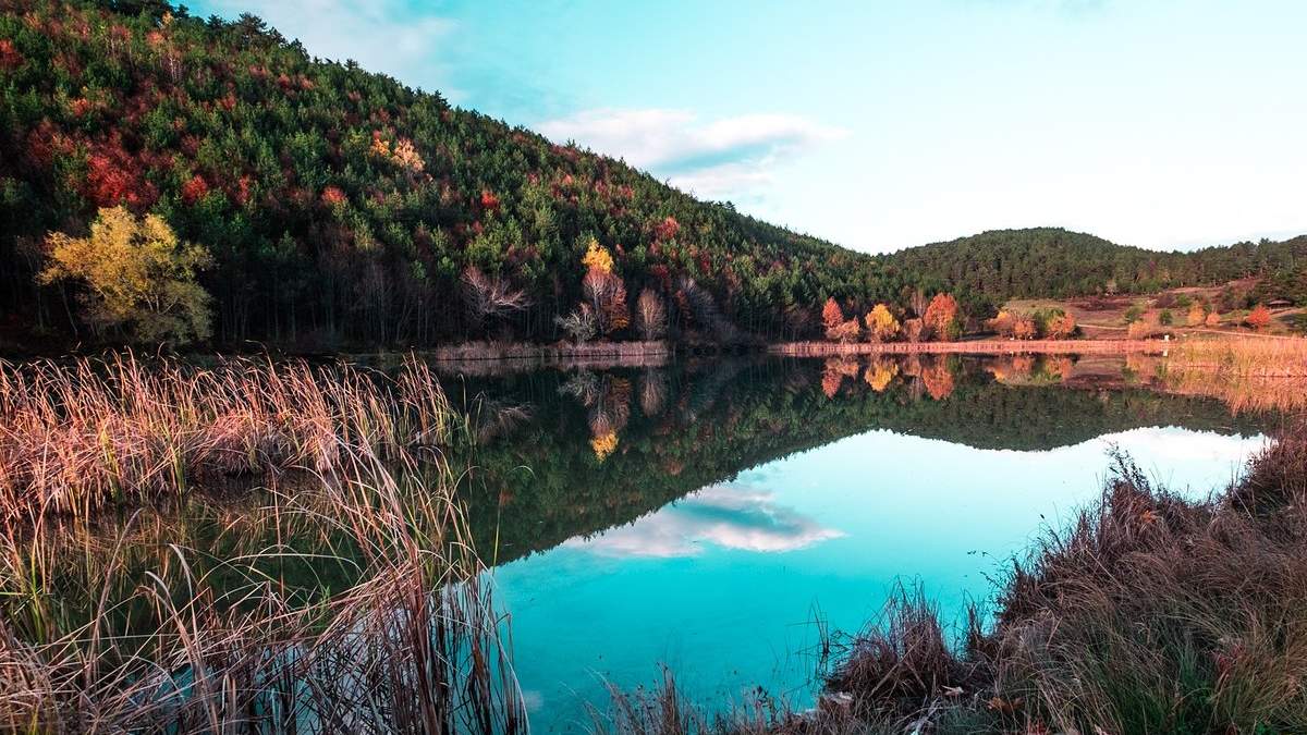 Turistler Akdeniz değil Karadeniz'e akın ediyor! Cennet yerler keşfedildi... Çok ucuz