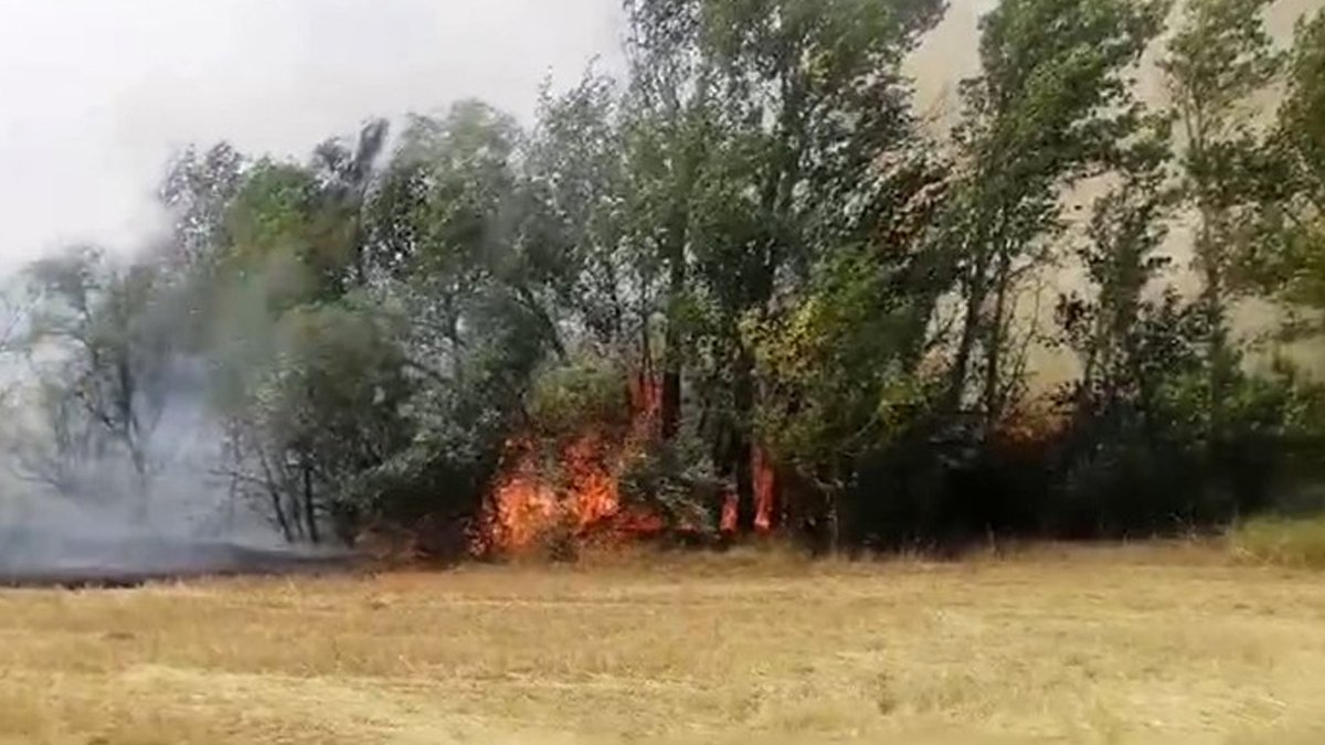 Traktörde çıkan yangın ağaçlık alana yayıldı