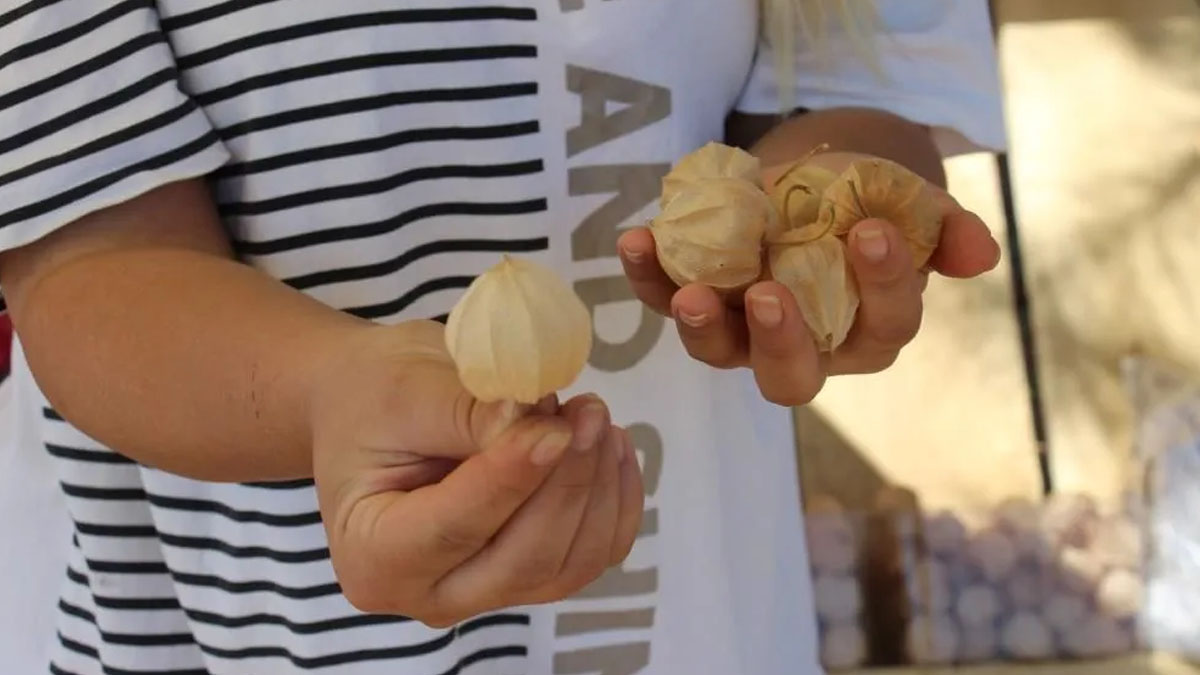 Film setini bırakıp o işe girdi! Para basıyor: 250 Gramı 50 TL