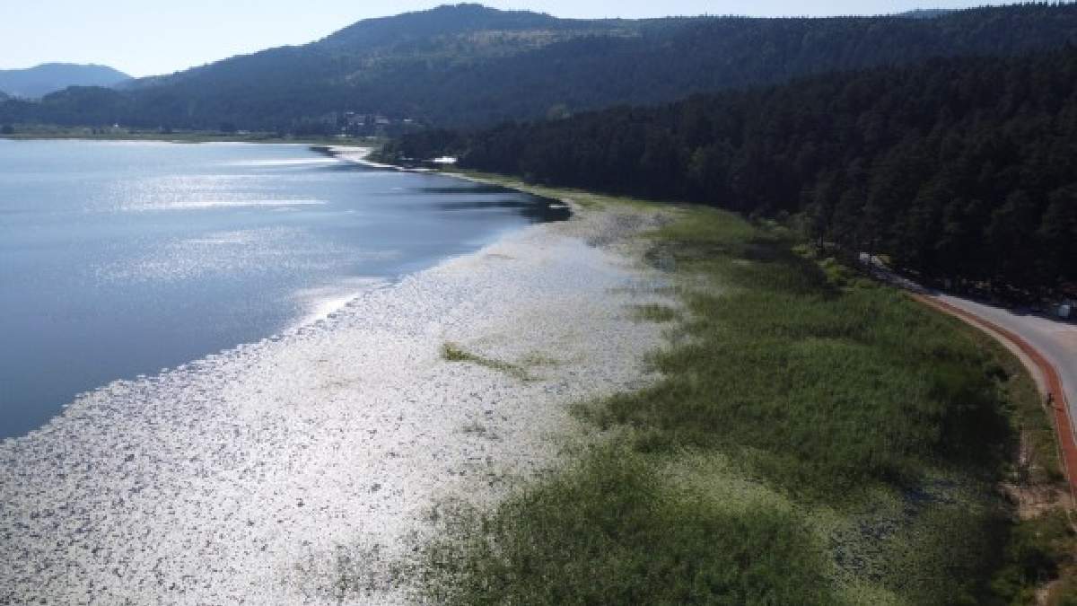 Cizre, Adana, Hatay derken Bolu patladı! Rekorun rekoru kırıldı...