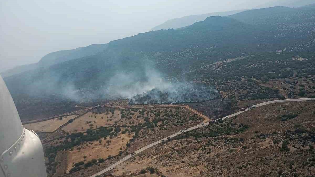 İzmir'de orman yangını