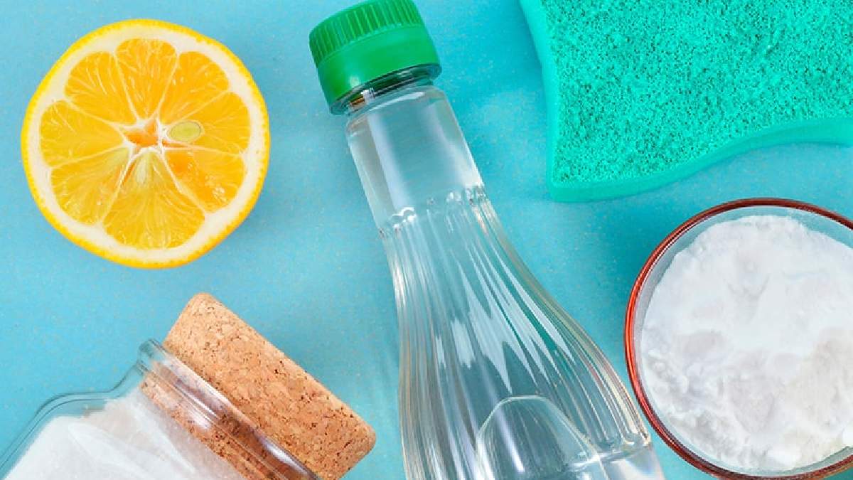 Ev hanımlarının hayatını kolaylaştıracak temizlik tüyosu! Mikrodalga, lavabo, kesme tahtası... Mutfakta bir damlası bile mucize