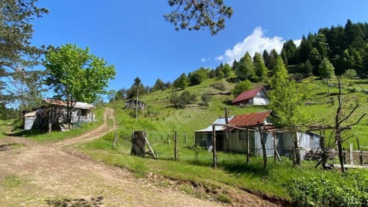 Yayla evlerinde yeni dönem: Kiracıdan satılık hazine arazisi
